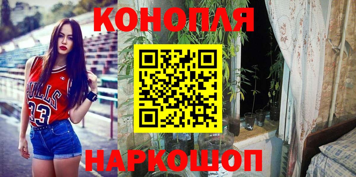 Шишки марихуана семена  Бошки Шишки тримм  Вход с VPN  Каннабис планчик  Домодедово 
